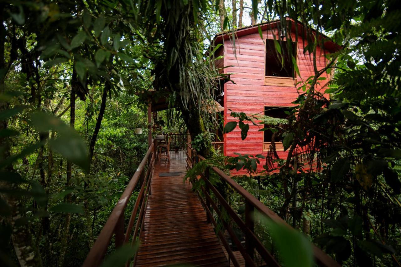 Tominejo Ecolodge - Casas En Los Arboles Neira Екстериор снимка
