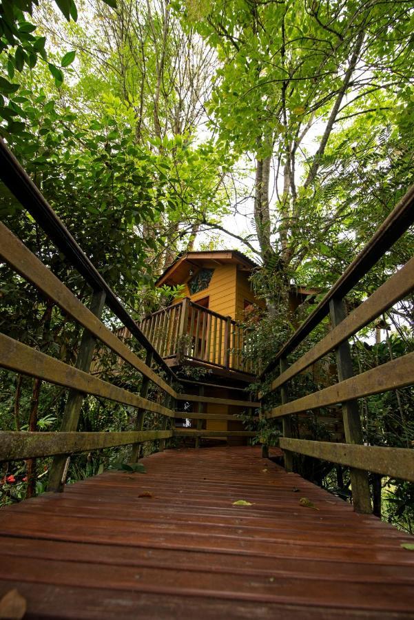 Tominejo Ecolodge - Casas En Los Arboles Neira Екстериор снимка
