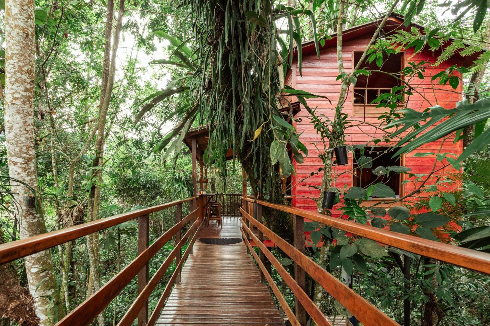Tominejo Ecolodge - Casas En Los Arboles Neira Екстериор снимка