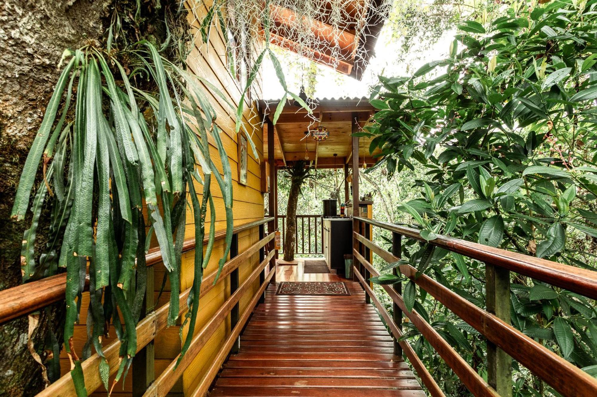 Tominejo Ecolodge - Casas En Los Arboles Neira Екстериор снимка