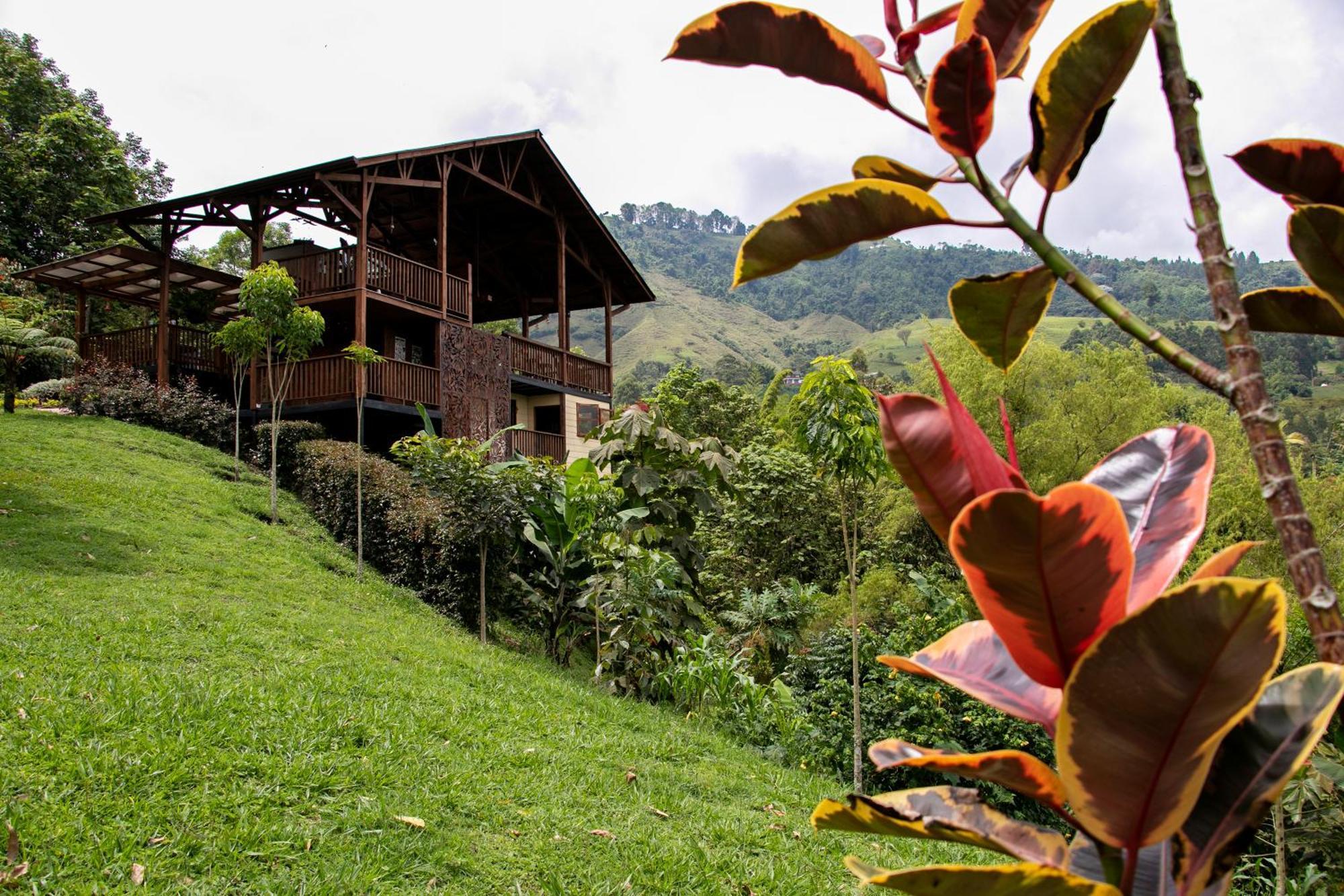 Tominejo Ecolodge - Casas En Los Arboles Neira Екстериор снимка